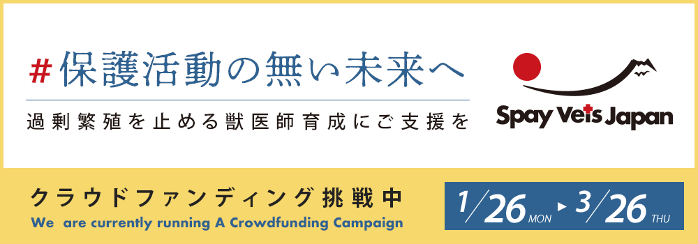 クラウドファンディング挑戦中