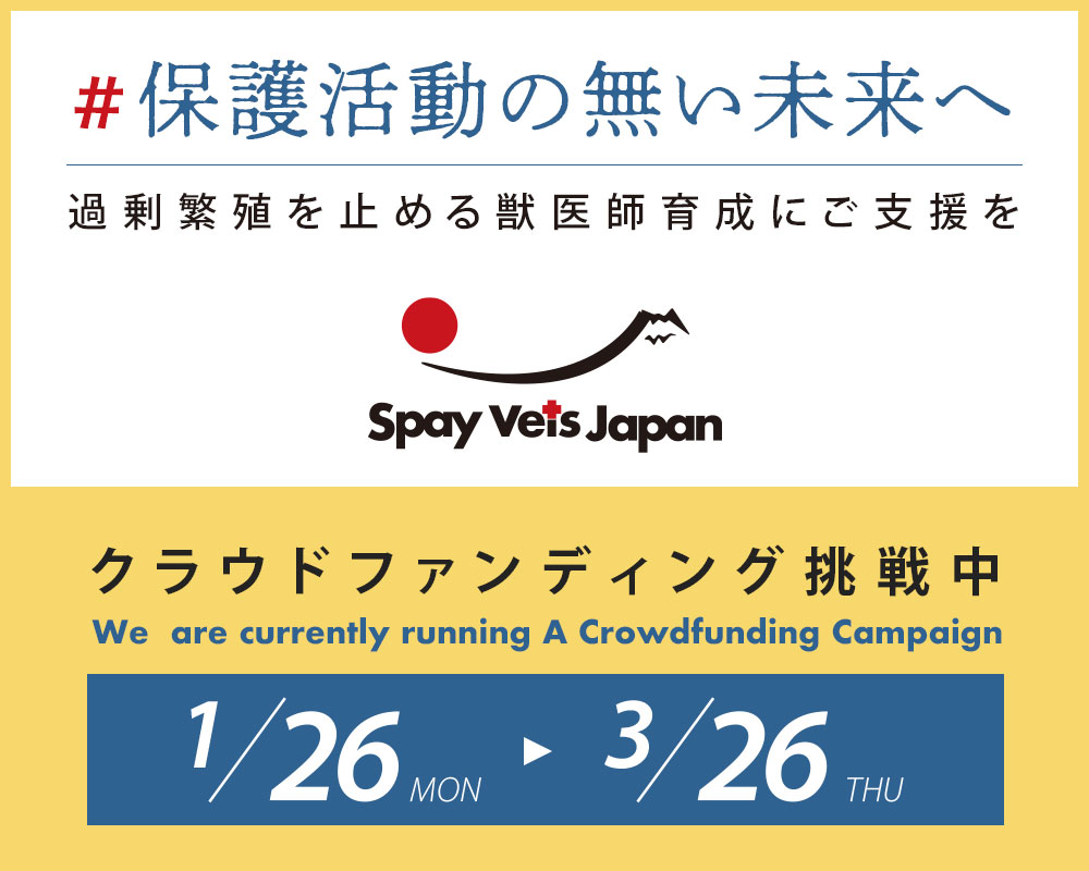 クラウドファンディング挑戦中